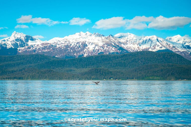 Is cruising to Alaska worth it