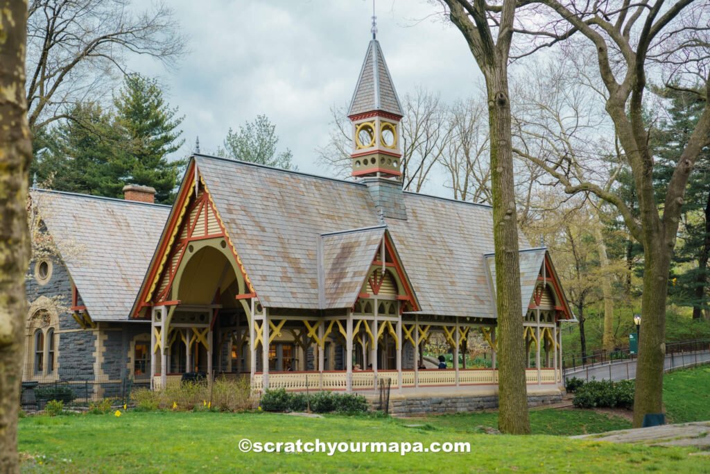 cherry blossoms in Central Park during Spring in New York City