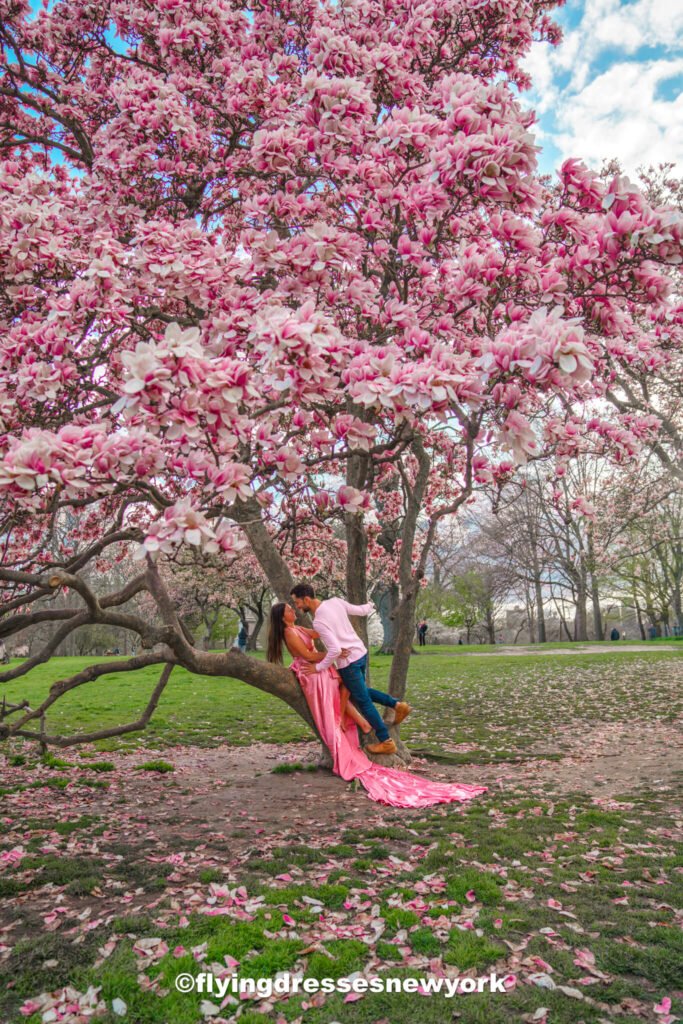 experiencing the cherry blossoms in New York - things to do in NYC in Spring