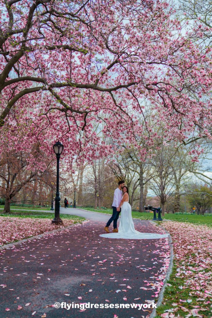 flowers in Central Park during Spring in New York