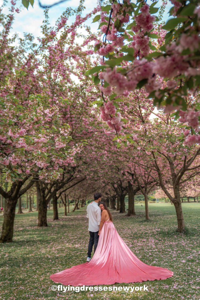 cherry blossoms during Spring in New York