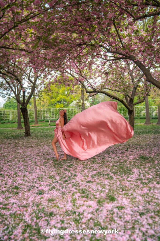 cherry blossoms during Spring in New York City