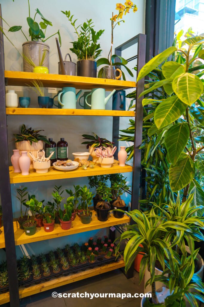working in a plant cafe in NYC - things to do in NYC in spring