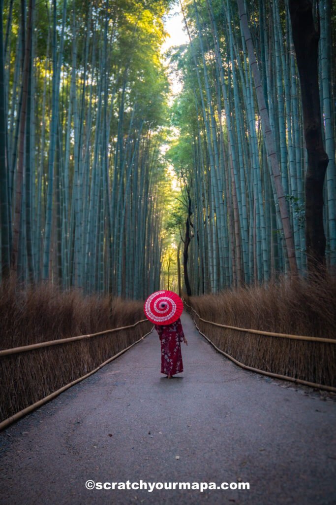 Arashiyama Bamboo Forest