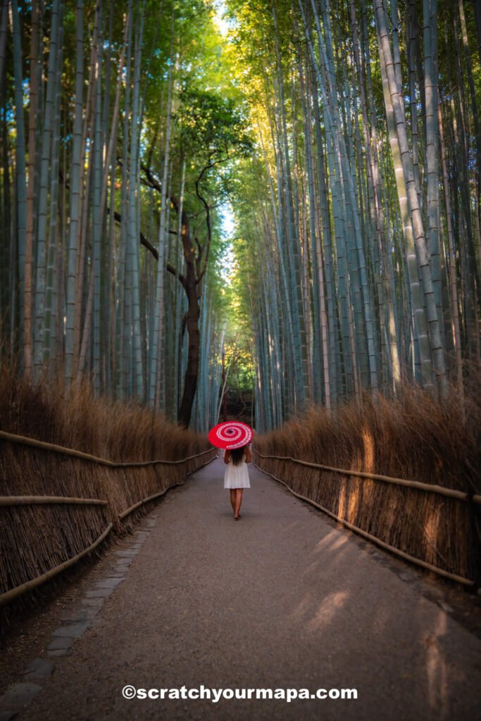 Arashiyama bamboo forest in Kyoto