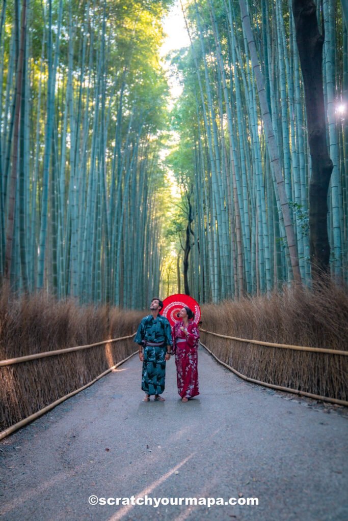 Bamboo forest in Kyoto - planning a trip to Japan
