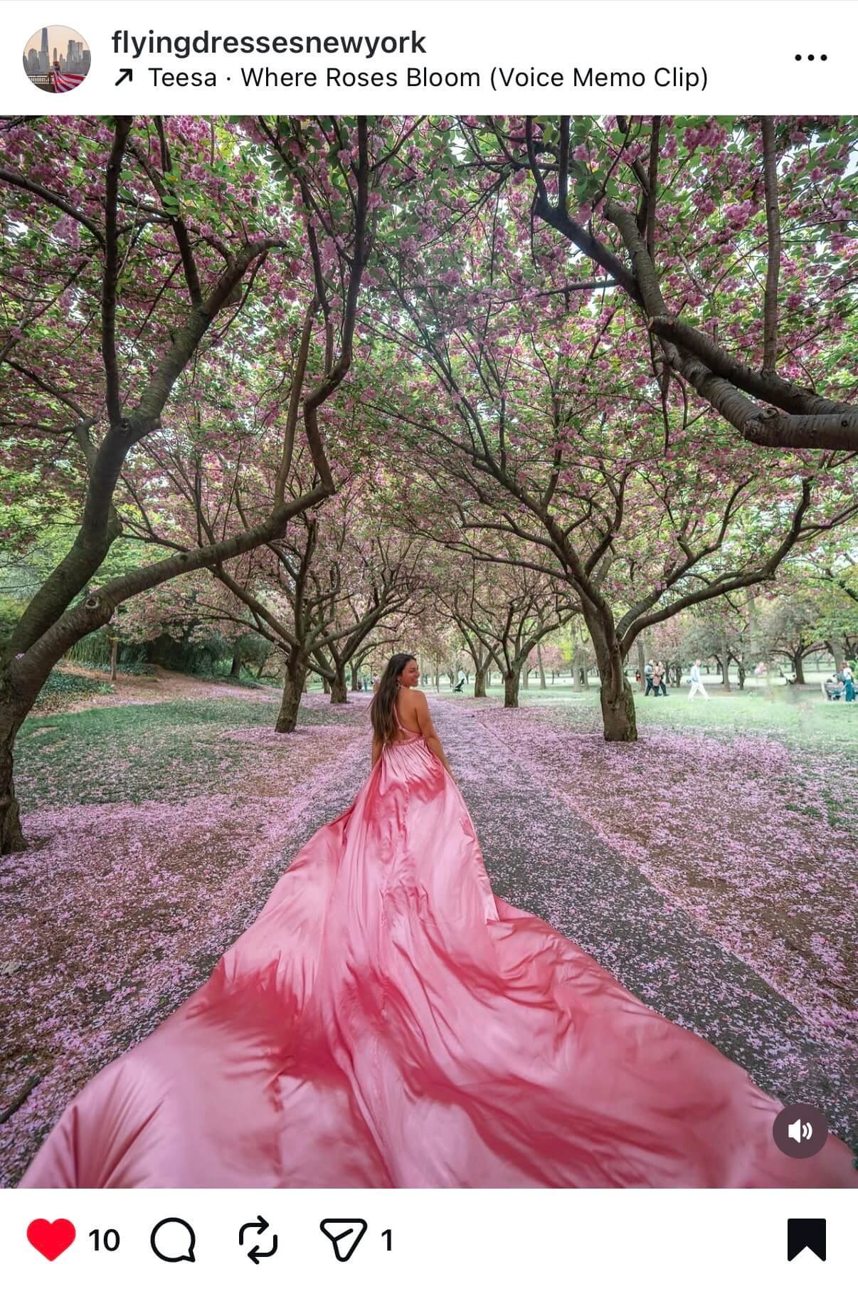 Flying dress photoshoot in NYC with cherry blossoms at Brooklyn Botanical Gardens