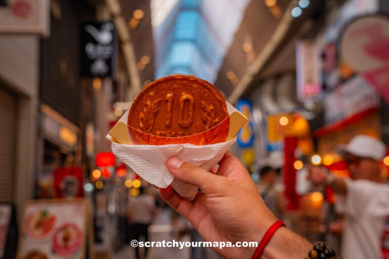 Osaka food guide