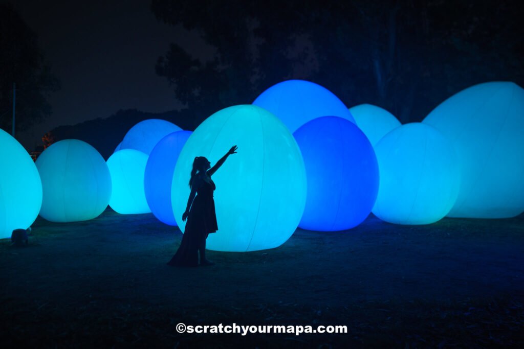 Team Lab - how to find unique things to do while traveling