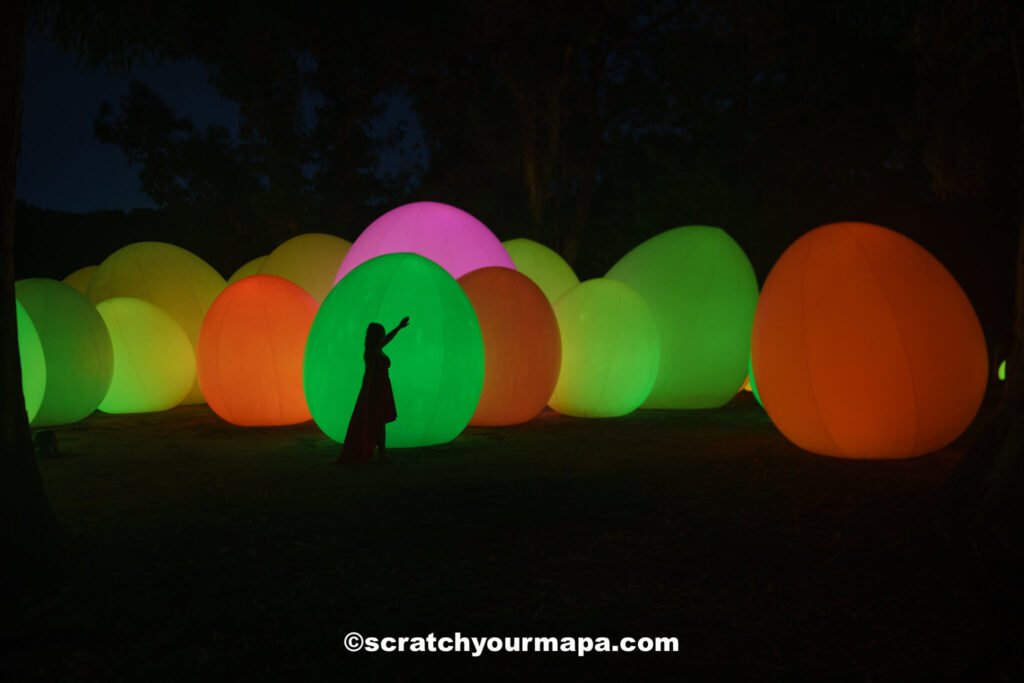 team lab botanical gardens - things to do in Osaka, Japan