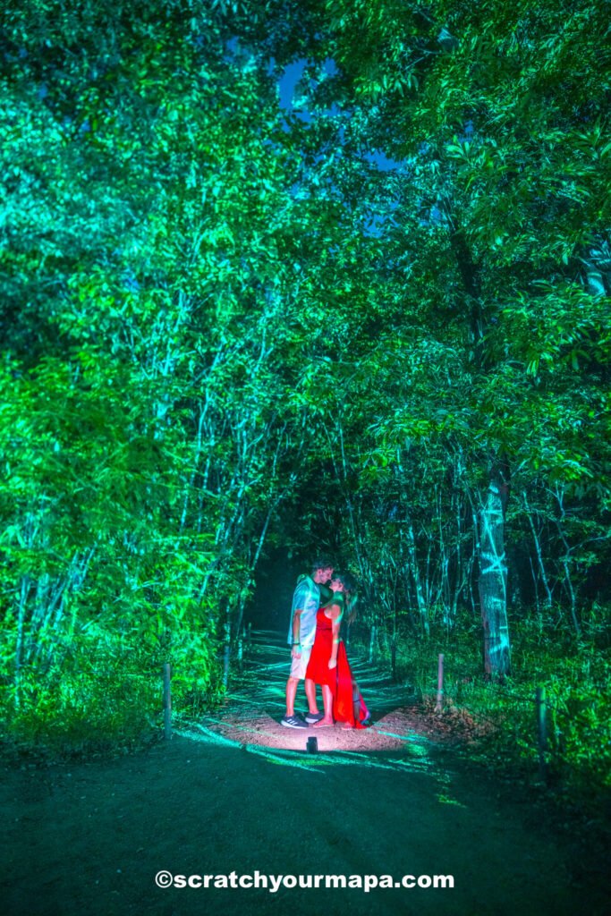 team lab botanical gardens - things to do in Osaka, Japan