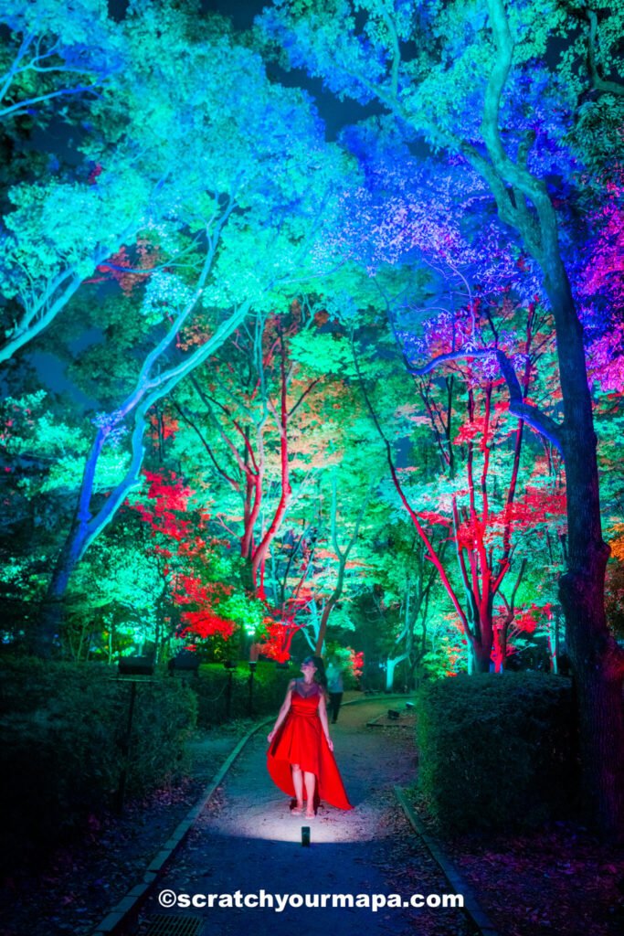 team lab botanical gardens - things to do in Osaka, Japan