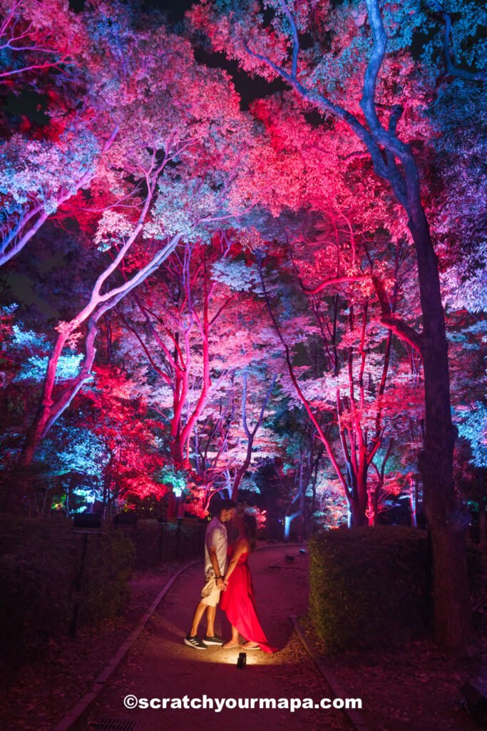 Team Lab botanical gardens in Osaka, Japan