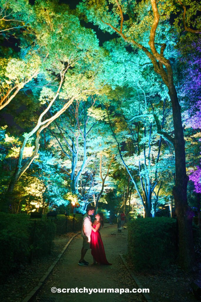 botanical gardens by Team Lab in Osaka