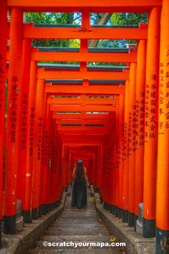 tori gates in Tokyo, Japan