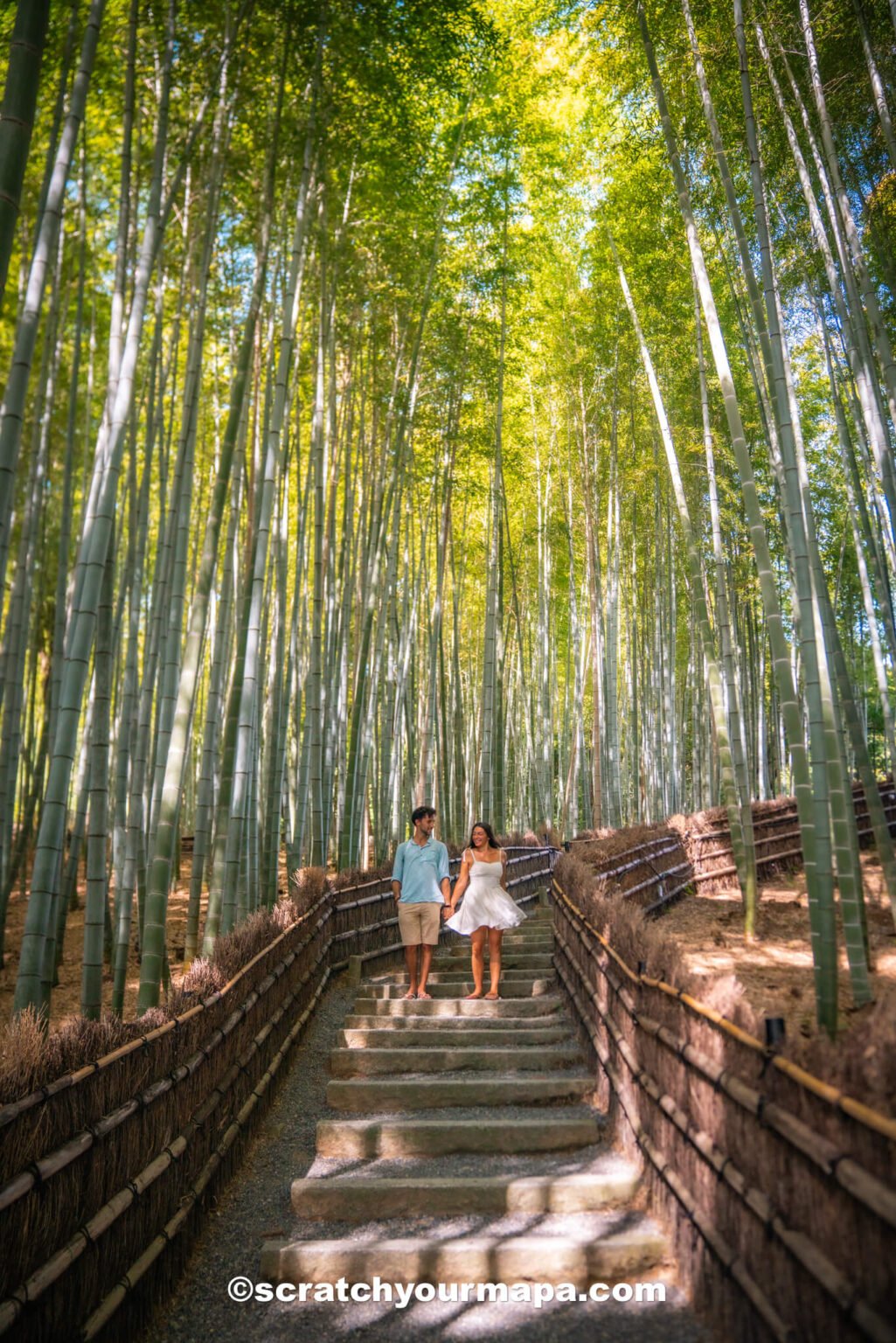 bamboo forest in Kyoto, Japan