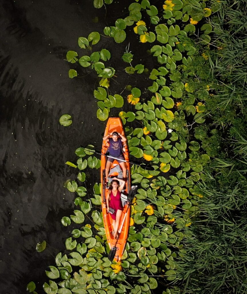 Skadar Lake in Montenegro/Albania