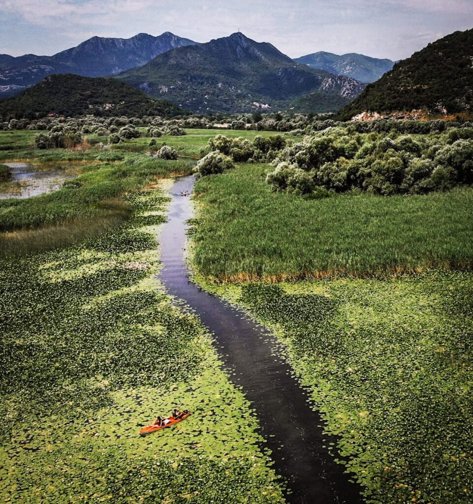Skadar Lake in Montenegro/Albania