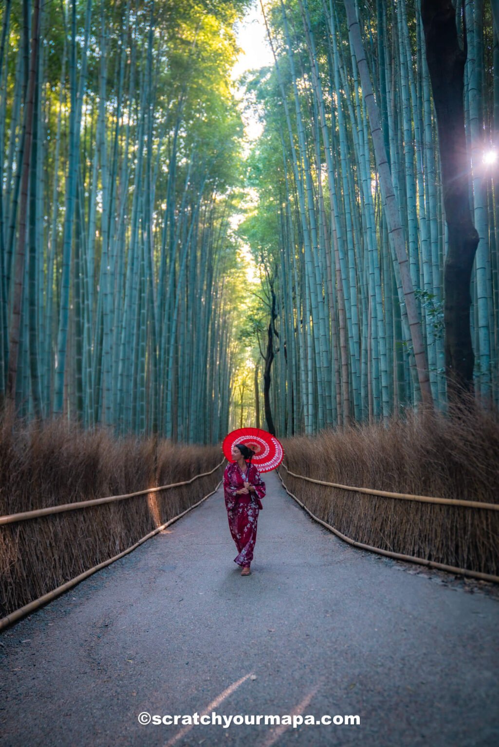 Arashiyama Bamboo Forest