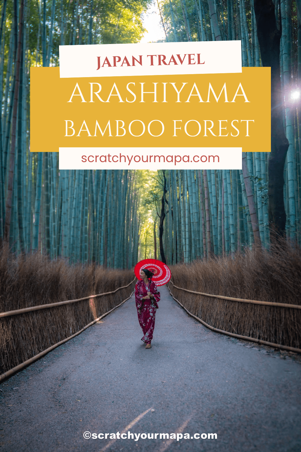 Arashiyama bamboo forest