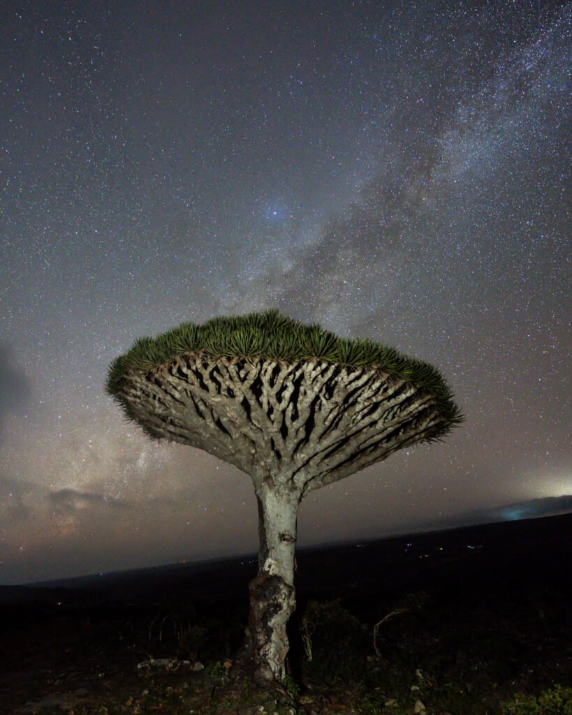 Astrophotography in Socotra in front of the dragon blood trees