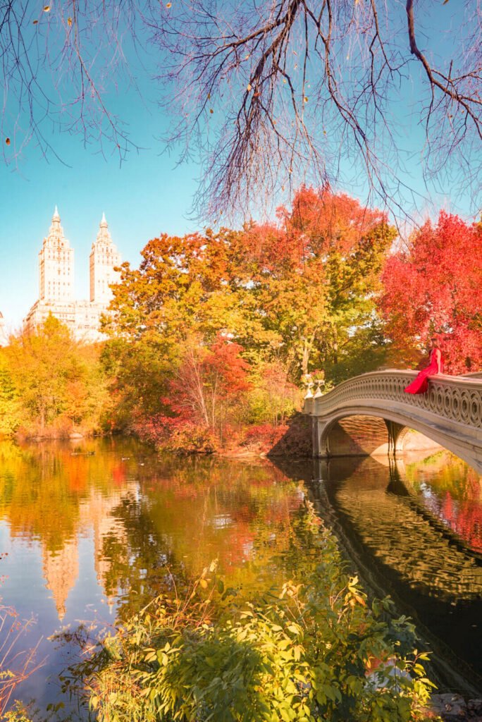 fall foliage at Central Park in NYC