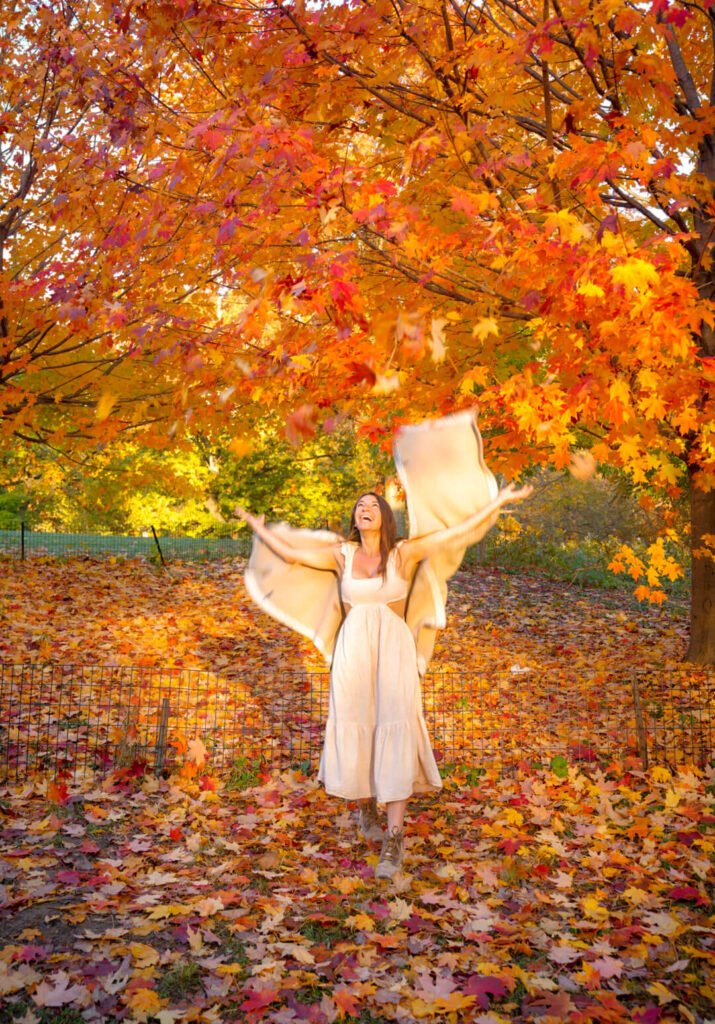 fall foliage in Central Park