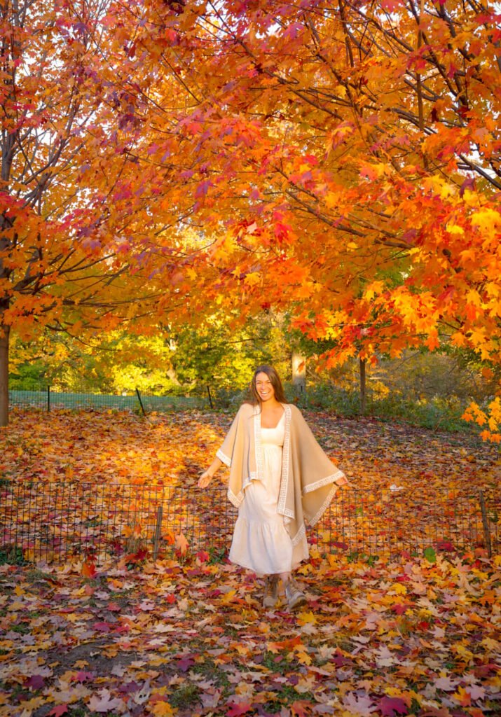 fall foliage in Central Park