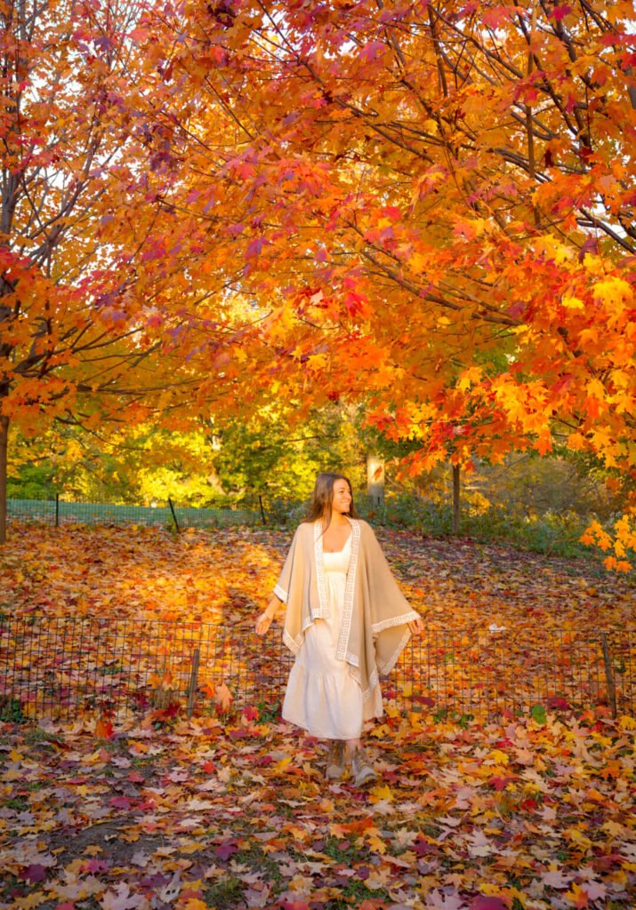 Fall Foliage in Central Park, NYC