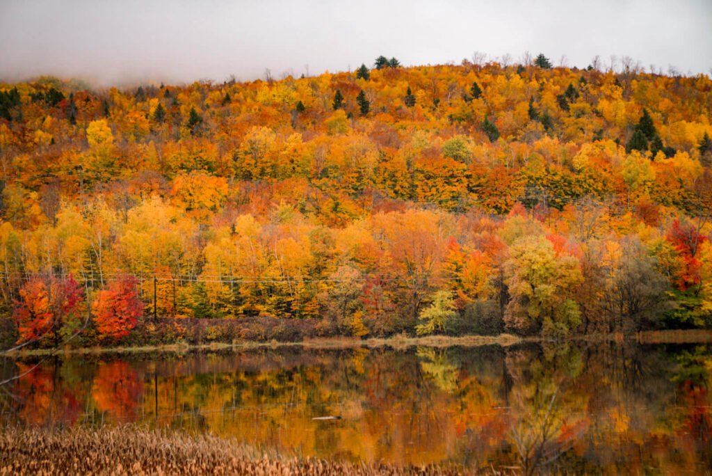 fall foliage in New England