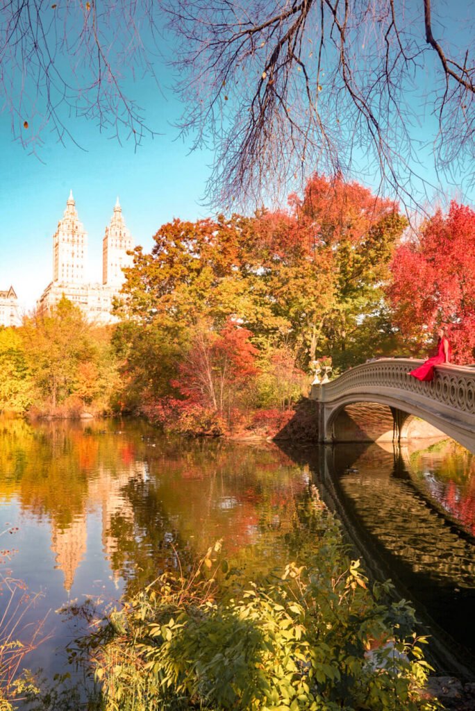 Fall foliage in Central Park