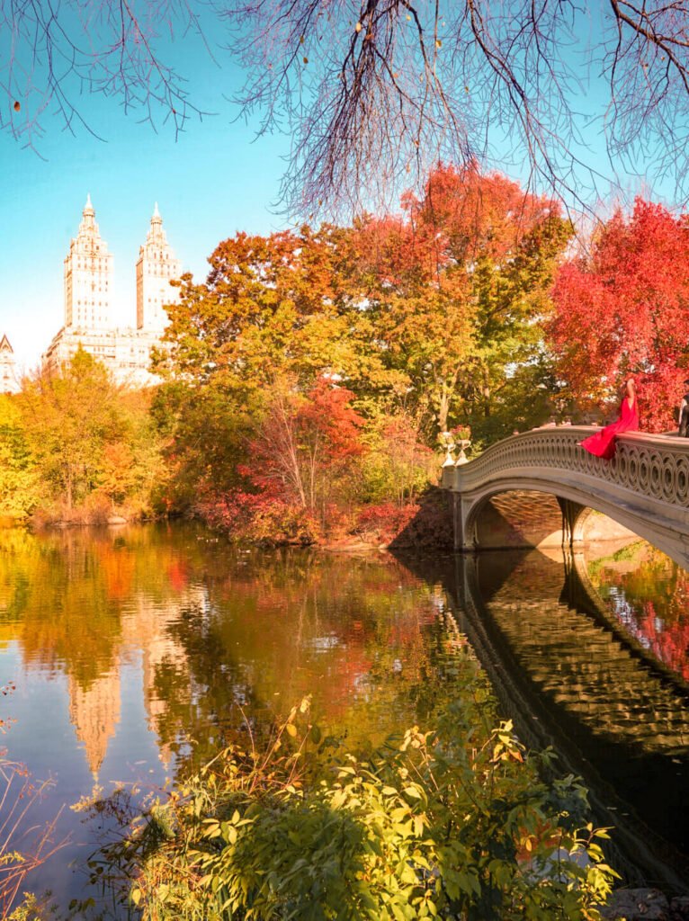 Fall Foliage at Central Park