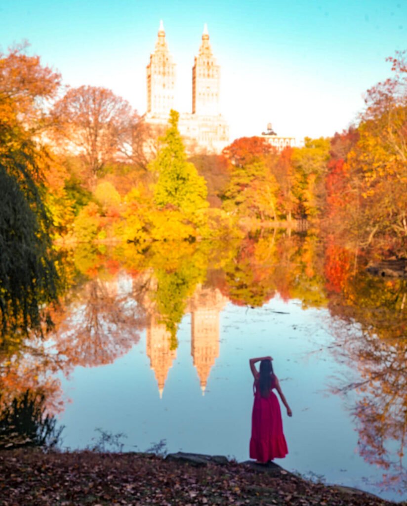 Fall foliage in Central Park during fall in New York City