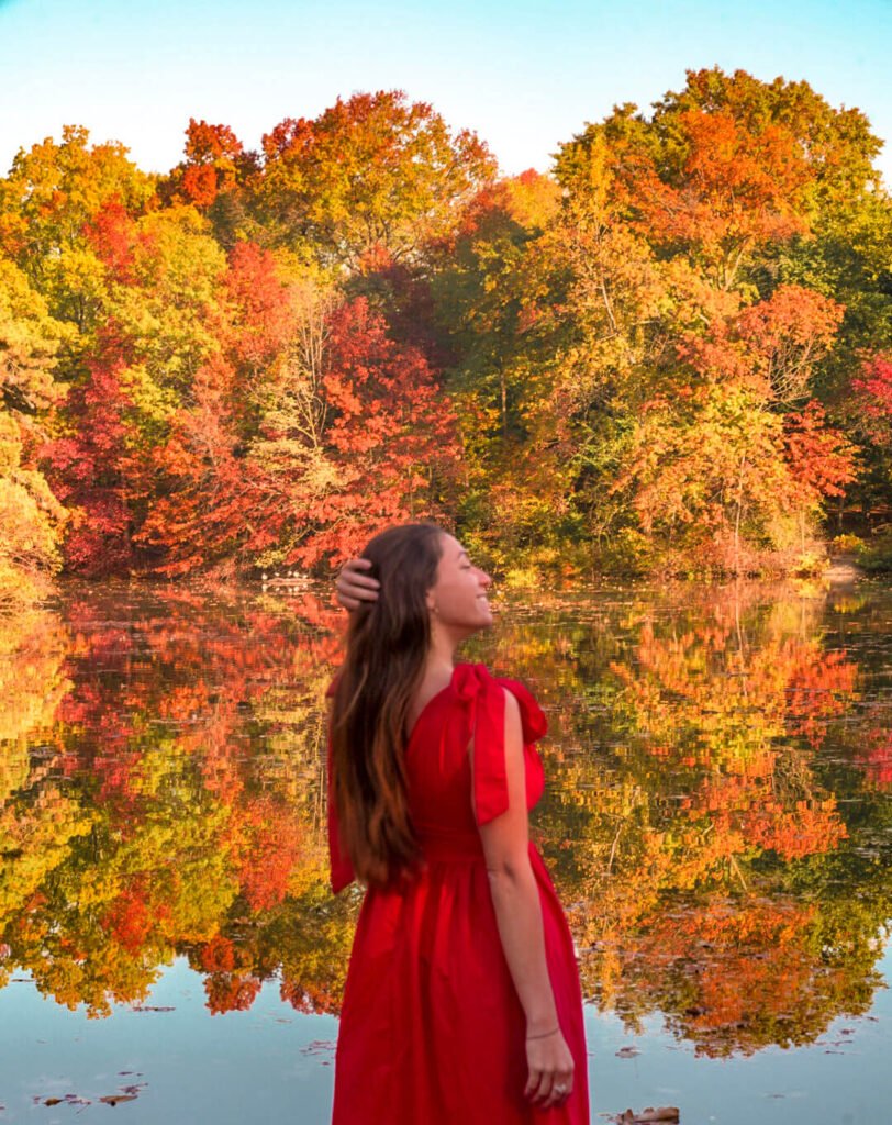 fall foliage in NYC