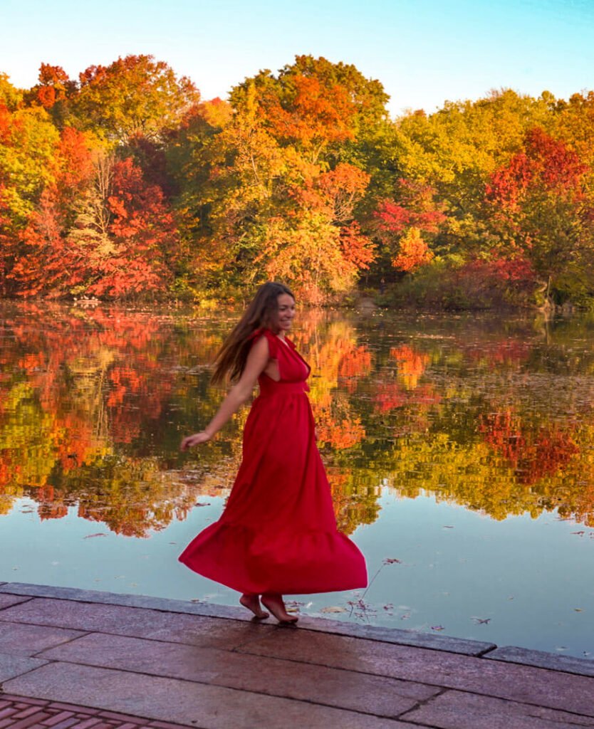 Fall foliage in Central Park