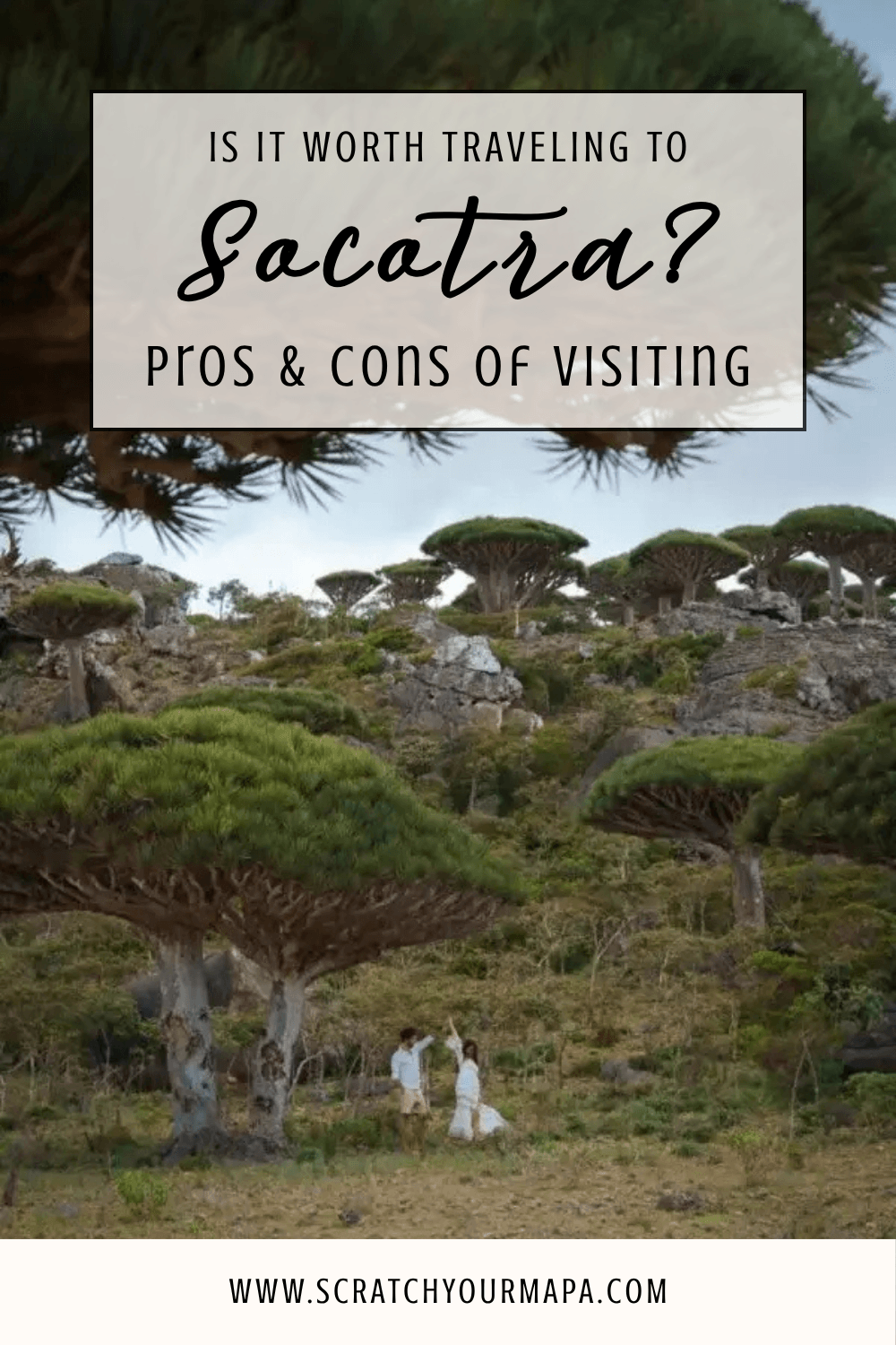 Is Socotra Worth Visiting Pin
