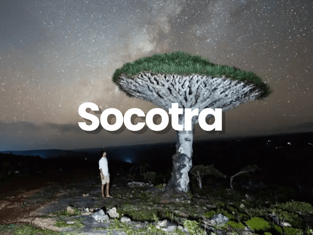 Socotra travel guide