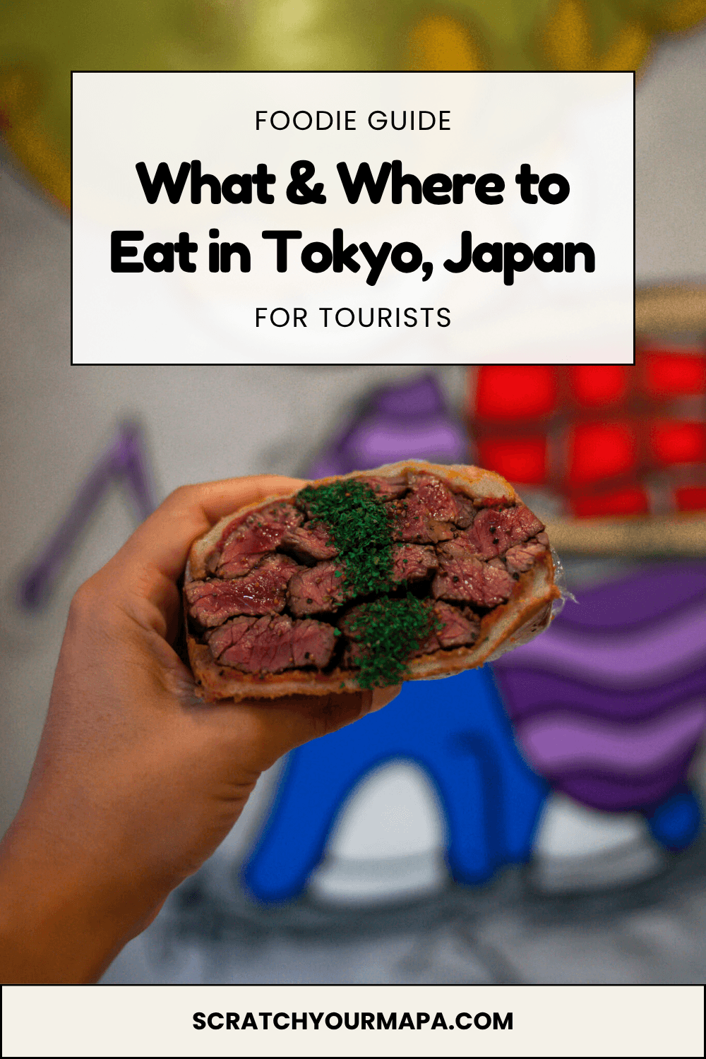 Tokyo food guide pin 1