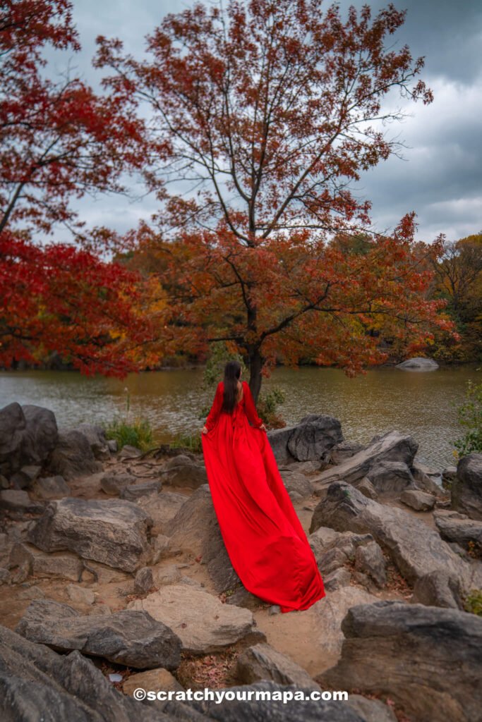 Fall foliage in Cantral Park