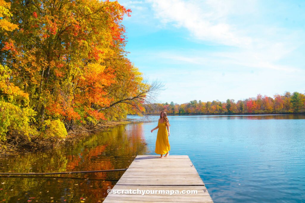 fall foliage in upstate New York
