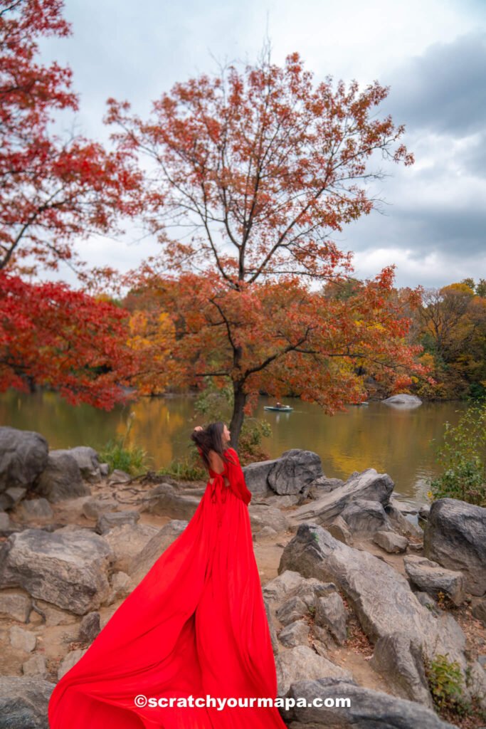 Fall foliage in Central Park