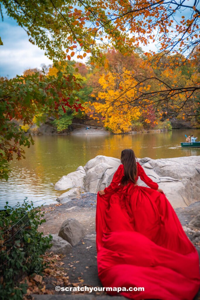 Fall foliage in Central Park