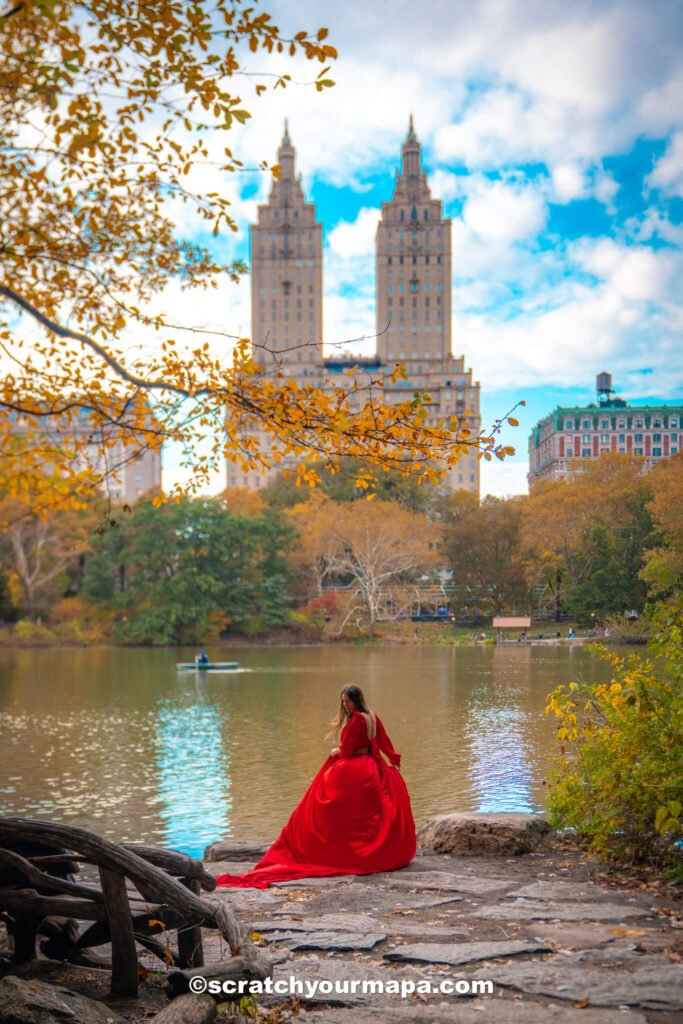 fall foliage in Central Park