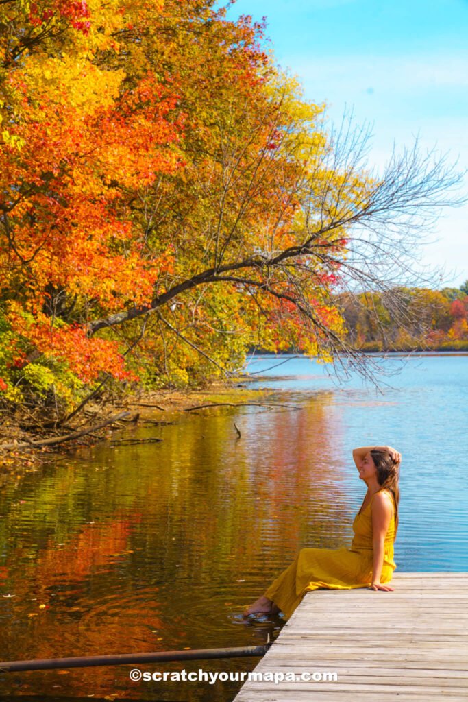 fall foliage in New York