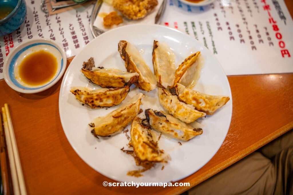 gyoza in Tokyo