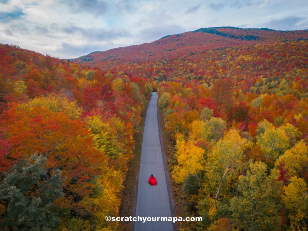 fall foliage in the Adirondacks