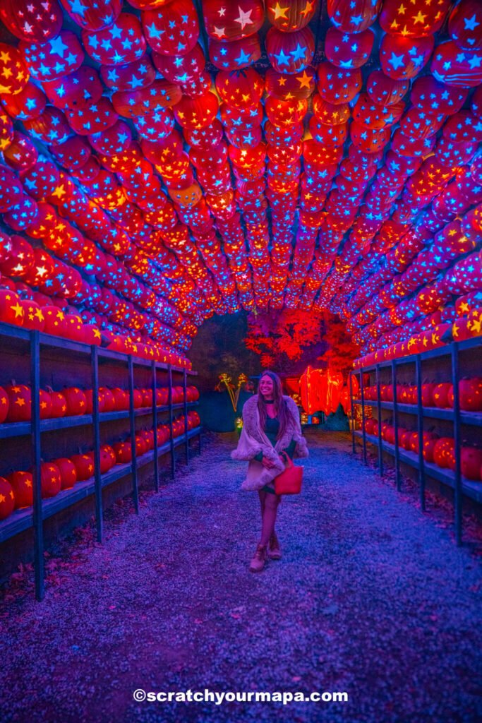Great Jack o Lantern Blaze for Halloween in New York
