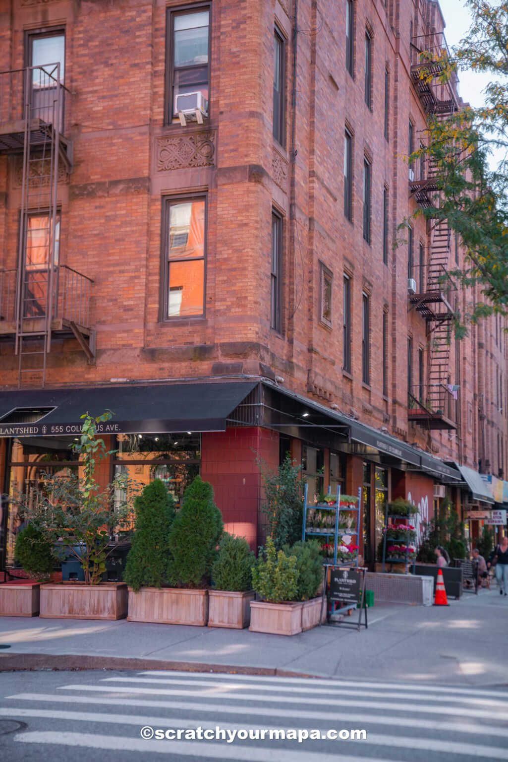 Plant Shed in UWS