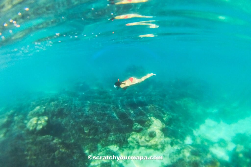 snorkeling in Socotra