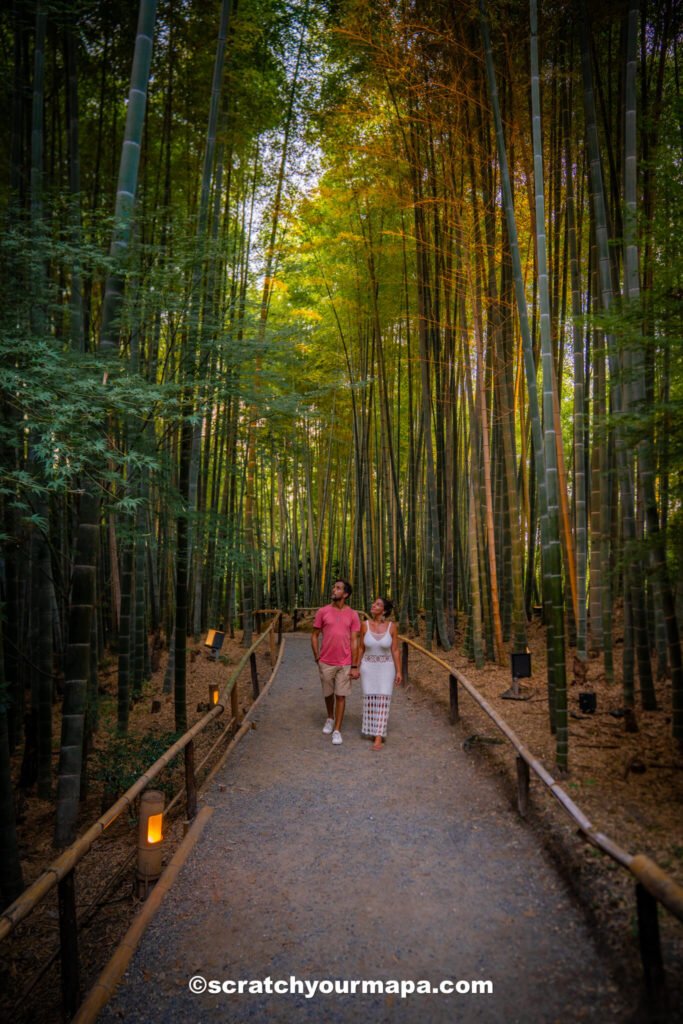 Tea House in Kyoto